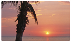 DNSEMP-C-127-Sunset Footprintss